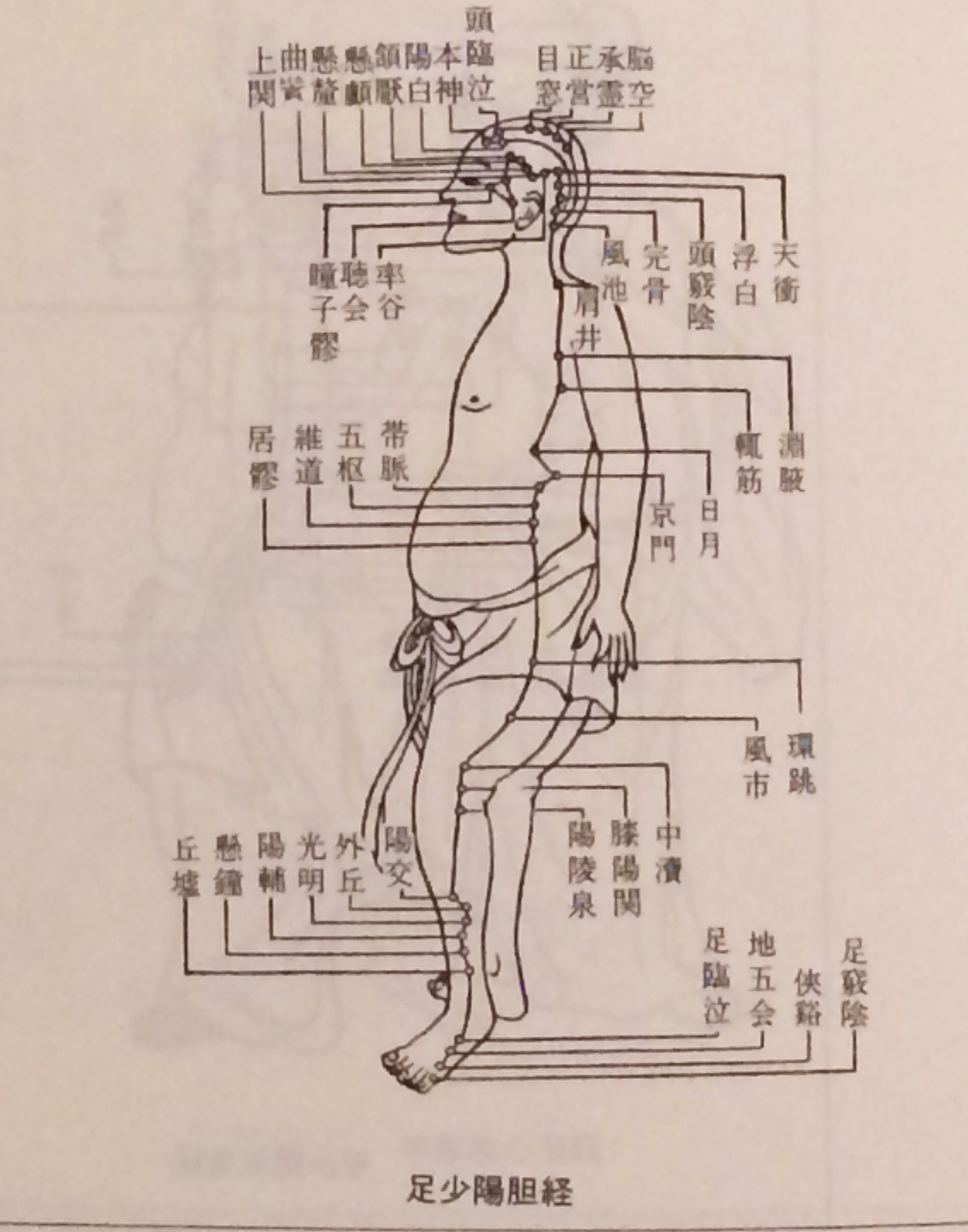 アンヴレ通信15号《丘墟:慢性副鼻腔炎のつぼ》 | 神楽坂在住aiの神楽坂グルメ情報
